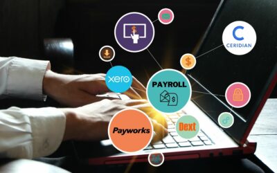 Should I Be Using A Payroll Provider For My Small Business?
